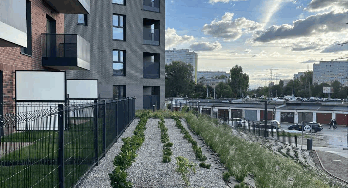 zieleń na współczesnych osiedlach