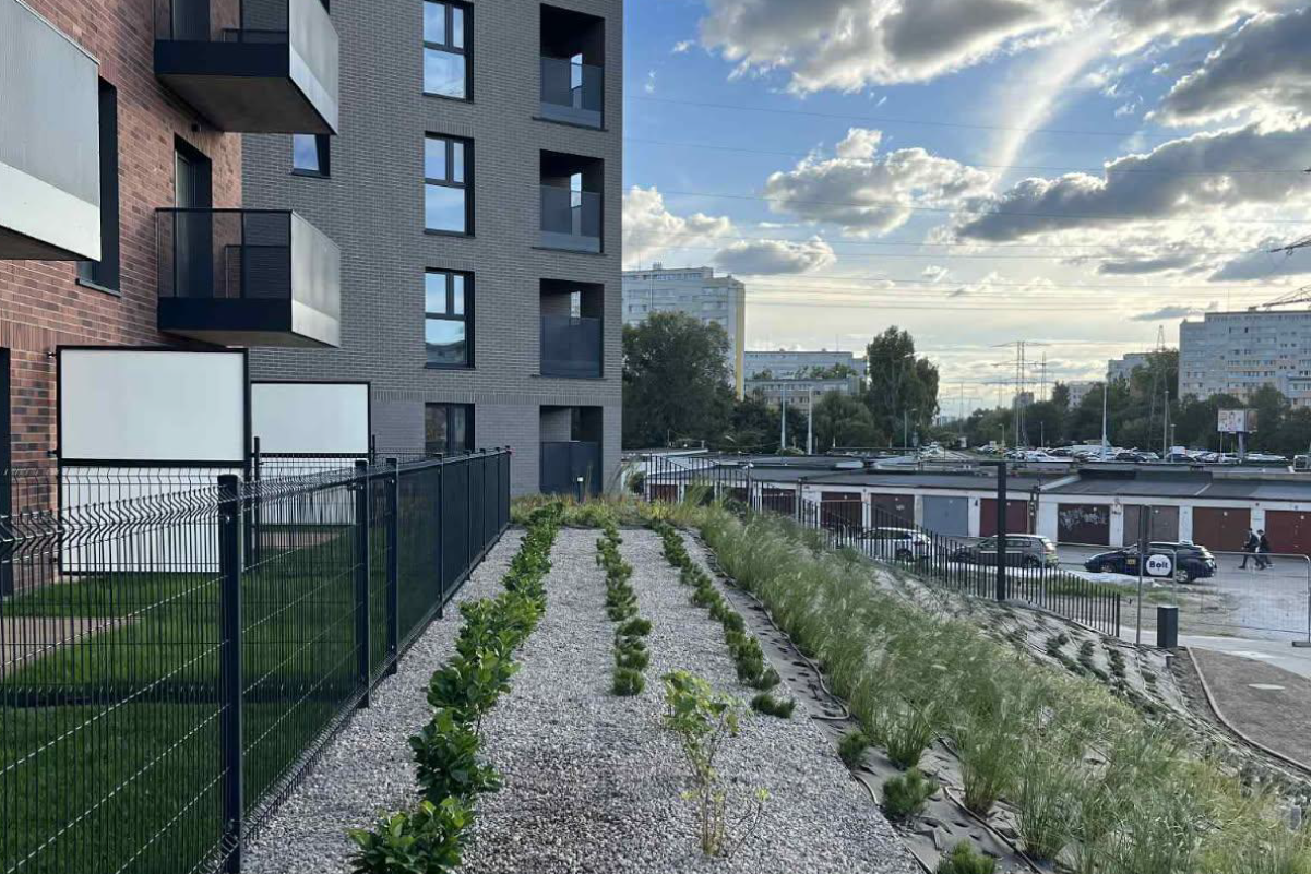 zieleń na współczesnych osiedlach