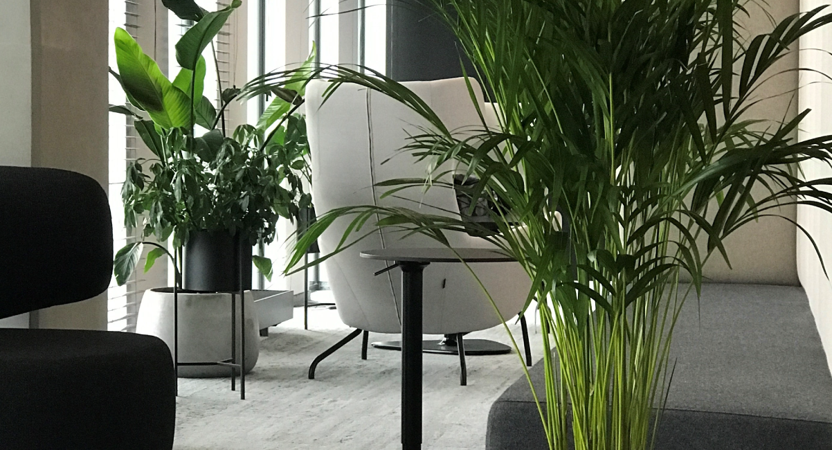 planowanie budżetu biura, poradnik dla facility managerów