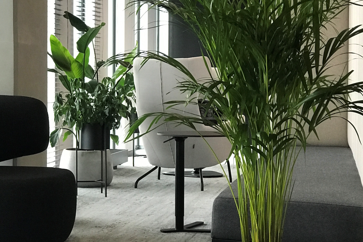 planowanie budżetu biura, poradnik dla facility managerów